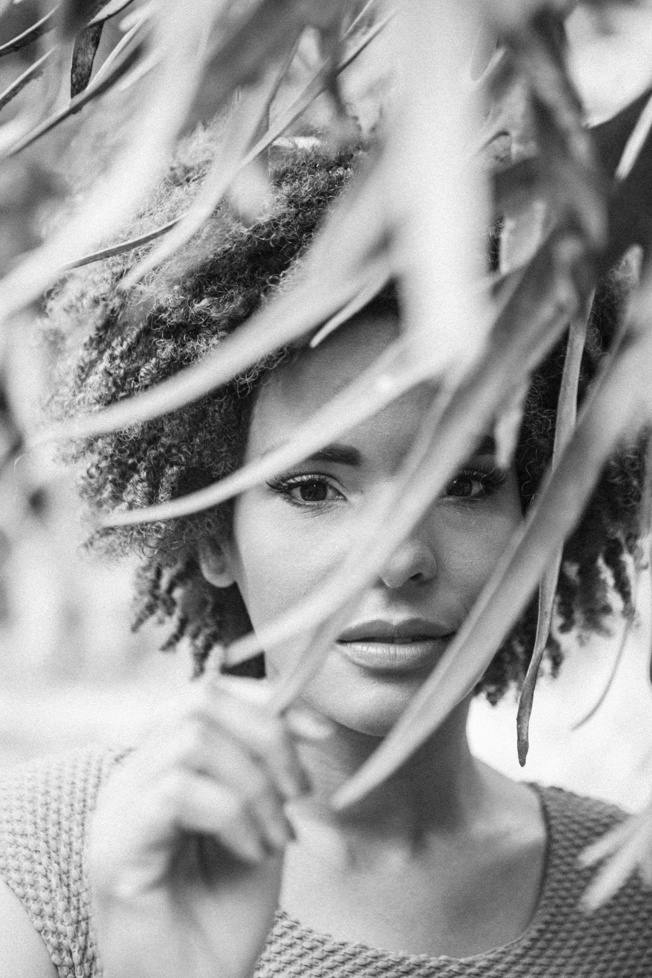 PORTRAITS by Robin Cerutti