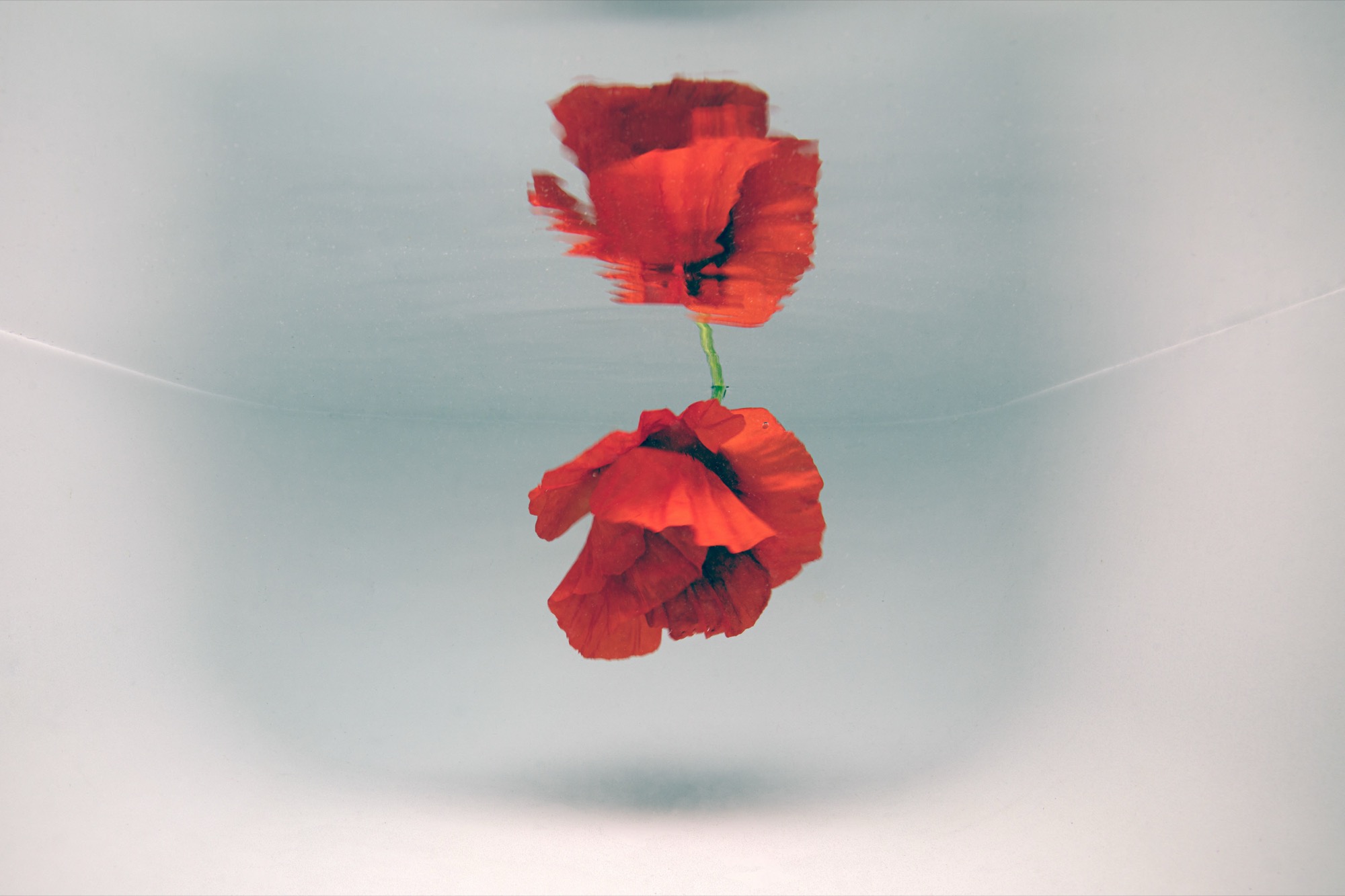 introspection by Robin Cerutti