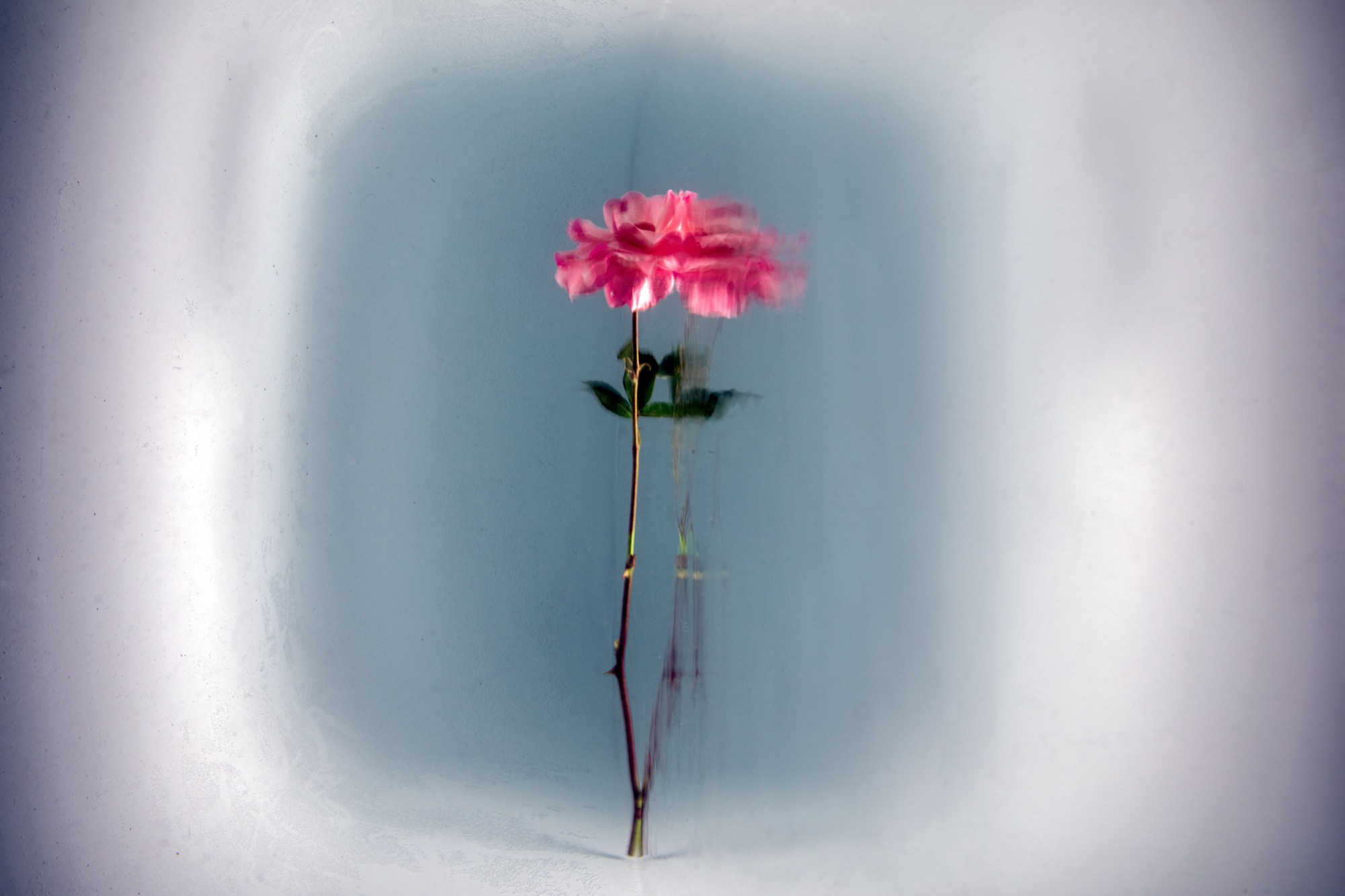 introspection by Robin Cerutti