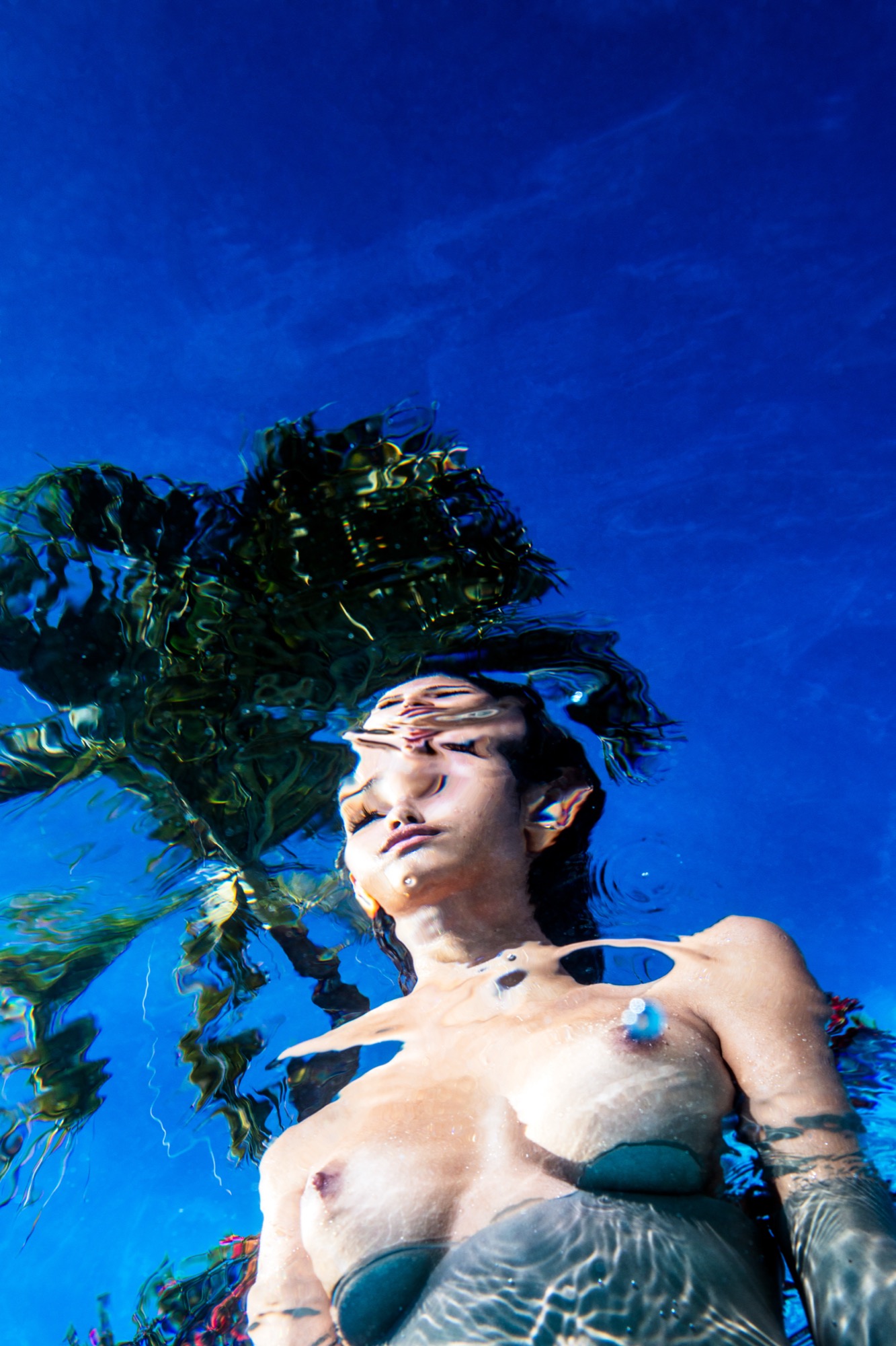 lookup by Robin Cerutti